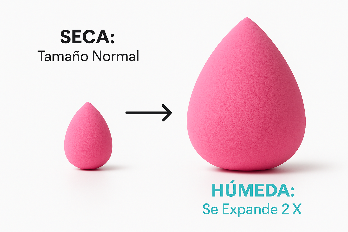 Demostración seca vs húmeda