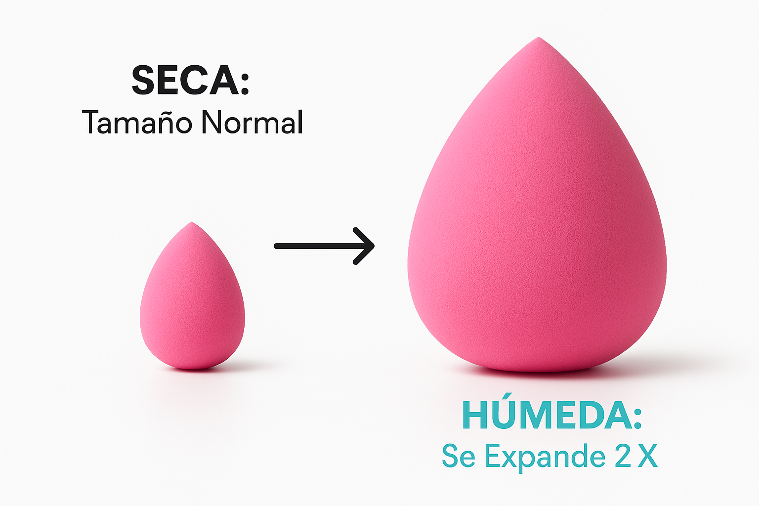 Demostración seca vs húmeda